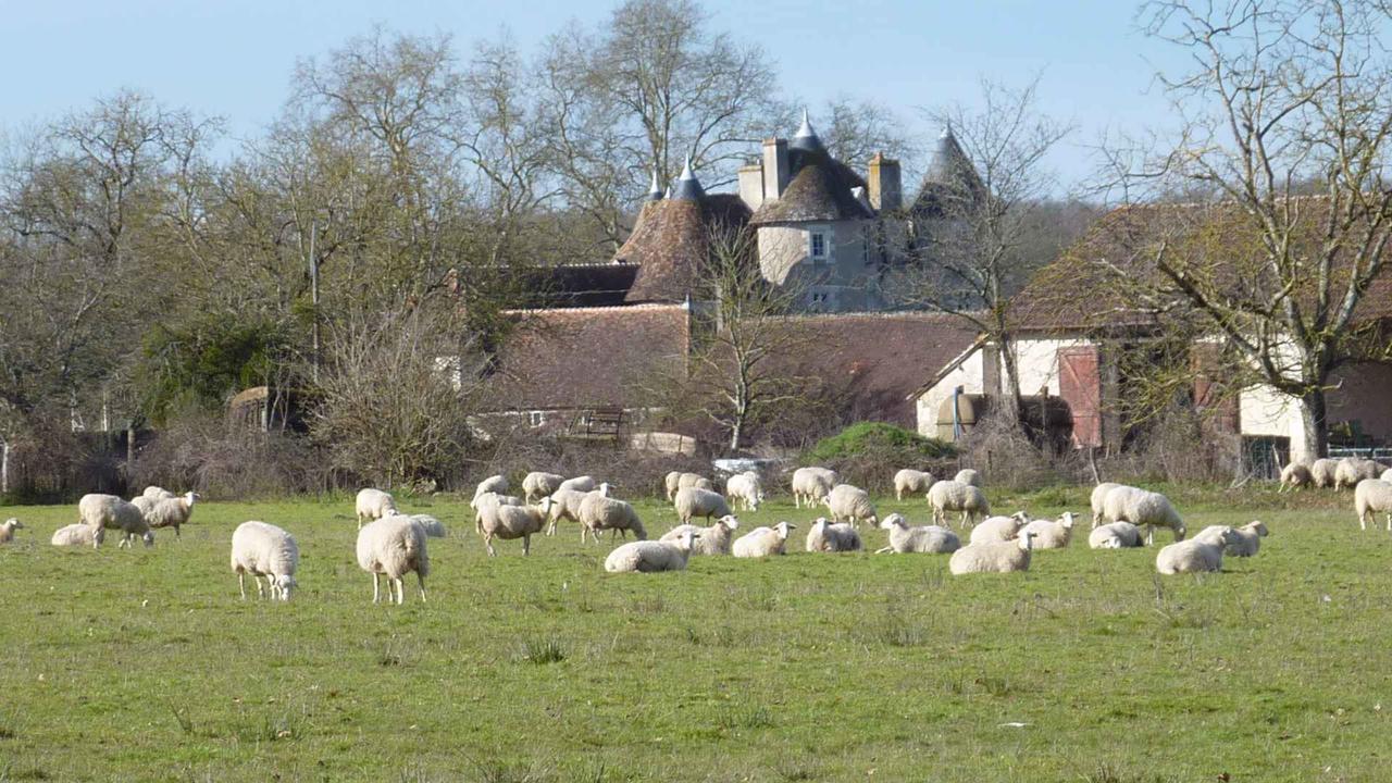 Le Logis Alexandra Bnb La Trimouille Exterior foto